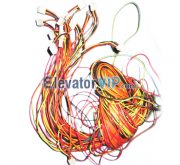 Elevator Spare Parts, BR27 Button Line, XAA174GC1, Elevator BR27 Button Wire, Elevator Button Connection Cable, Elevator Button Wire Online, Elevator Button Wire Supplier, Cheap Elevator Button Wire for Sale, Elevator Button Wire Exporter, Wholesale Elevator Button Wire, Elevator Button Wire Manufacturer, Elevator Button Wire Exporter in China