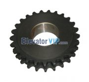 Escalator Mechanical Parts Chain Sprocket, XAA195X1, Escalator Double Strand Roller Chain Sprocket, Escalator Chain Sprocket 25 Teeth 16A, Hardened Teeth Chain Sprocket, Escalator Double Strand Roller Chain Sprocket Supplier, Escalator Double Strand Roller Chain Sprocket Manufacturer, Escalator Double Strand Roller Chain Sprocket Exporter, Escalator Double Strand Roller Chain Sprocket Factory, Cheap Escalator Double Strand Roller Chain Sprocket Online