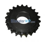Otis Escalator Mechanical Parts Chain Sprocket XAA195X1, Escalator Double Strand Roller Chain Sprocket, Escalator Chain Sprocket 21 Teeth 16A, OTIS Hardened Teeth Chain Sprocket, Escalator Double Strand Roller Chain Sprocket Supplier, Escalator Double Strand Roller Chain Sprocket Manufacturer, Escalator Double Strand Roller Chain Sprocket Exporter, Escalator Double Strand Roller Chain Sprocket Factory, Cheap Escalator Double Strand Roller Chain Sprocket Online, XAA332DS1