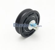 Elevator Landing Door Hanging Roller, XAA502R1, 56×15×6202