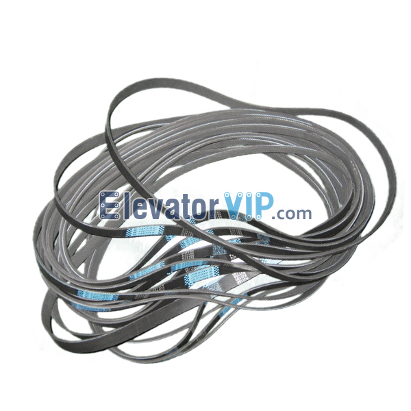 Otis Elevator Spare Parts V-ribbed Belt XAA717M1, Elevator PJ1150 V-ribbed Belt, OTIS Elevator Door Drive DO2000 Belt, Elevator V-ribbed Belt, Elevator V-ribbed Belt Supplier, Elevator V-ribbed Belt Manufacturer, Elevator V-ribbed Belt Exporter, Elevator V-ribbed Belt Factory, Wholesale Elevator V-ribbed Belt, Cheap Elevator V-ribbed Belt for Sale, Buy Elevator V-ribbed Belt Online