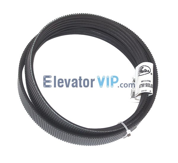 OTIS Escalator V-Belt, OTIS Escalator Poly-V Drive Belt, 506NCE Belt, GCA717D1, 4/7M1900JB, Poly-V Drive Belt 1900mm, Escalator Handrail Drive Belt Supplier