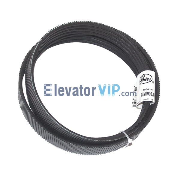 OTIS Escalator V-Belt, OTIS Escalator Poly-V Drive Belt, 506NCE Belt, GCA717D1, 4/7M1900JB, Poly-V Drive Belt 1900mm, Escalator Handrail Drive Belt Supplier